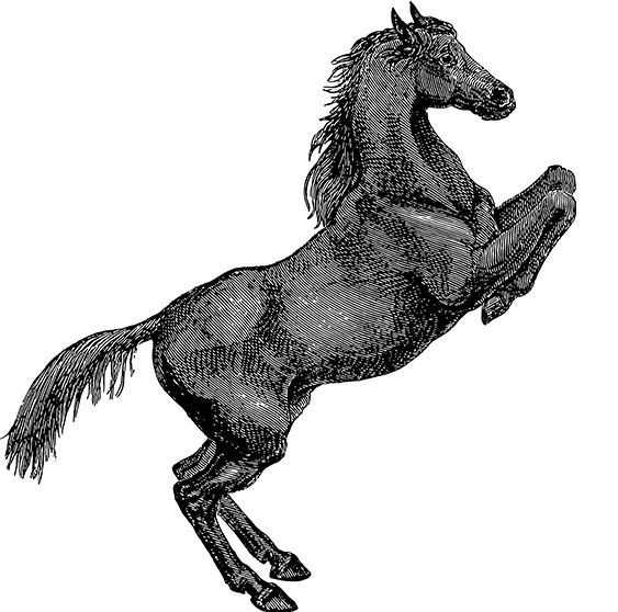 征途国际